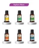 Korus Essential Lavender Essential Oil - 15ml - HNW GLOBAL