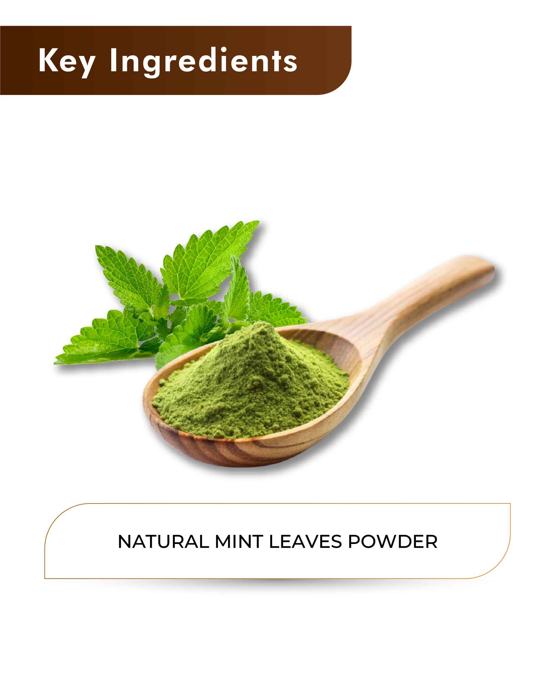 H&C Natural Mint Leaves Powder - 100gm - HNW GLOBAL