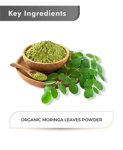 Just Jaivik Organic Moringa Powder - 100gm - HNW GLOBAL