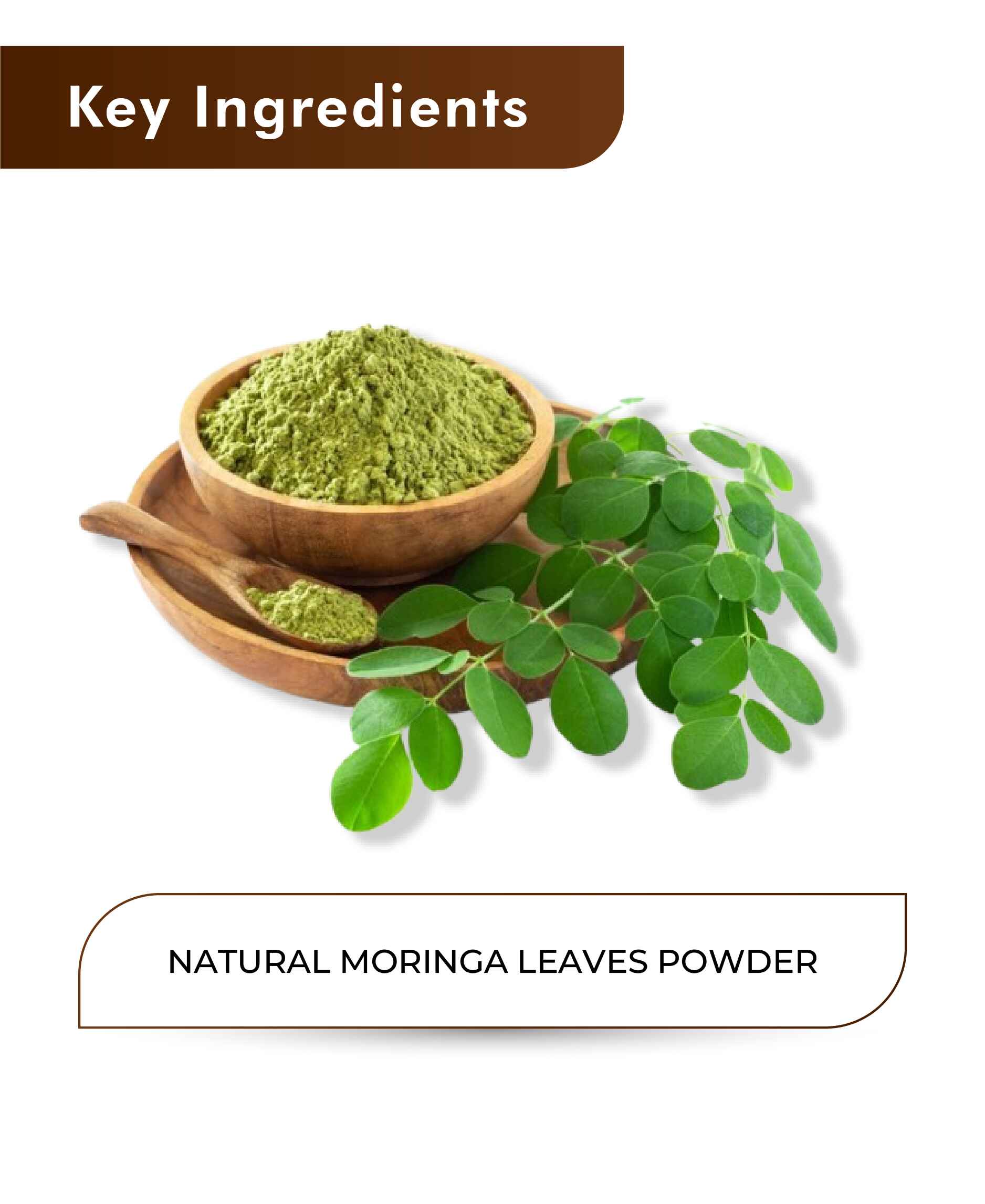 H&C Natural Moringa Leaves Powder - 100gm - HNW GLOBAL