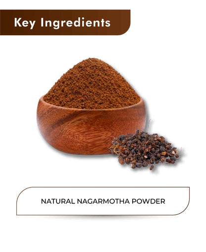 H&C Natural Nagarmotha Powder - 100gm - HNW GLOBAL
