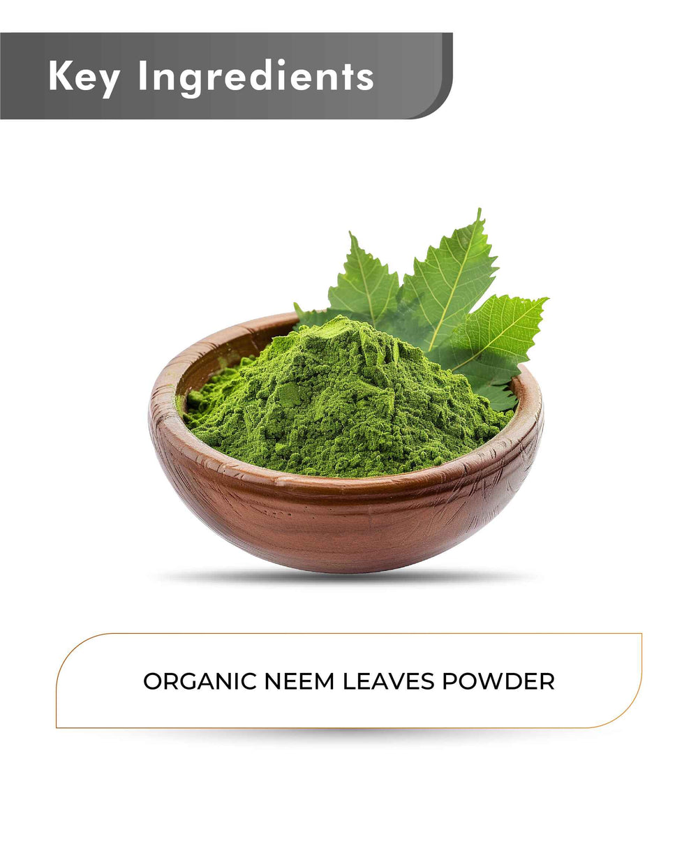 Just Jaivik Organic Neem Powder - 100gm - HNW GLOBAL