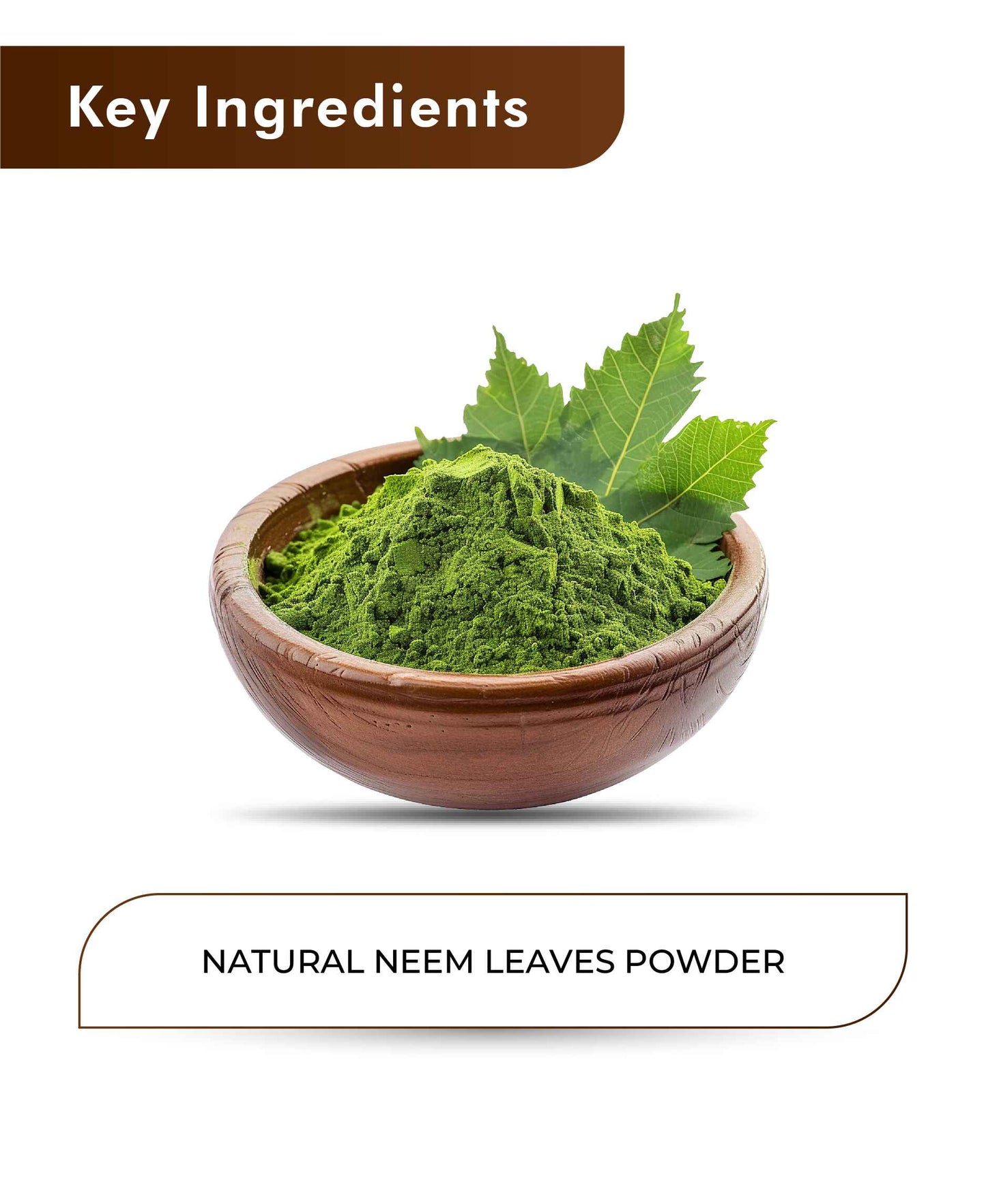 H&C Natural Neem Leaves Powder / Azadirachta Indica - 100gm