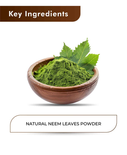 H&C Natural Neem Leaves Powder / Azadirachta Indica - 100gm