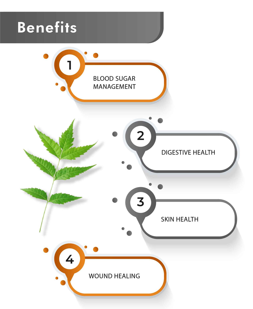 Just Jaivik Organic Neem Powder - 100gm - HNW GLOBAL