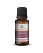 Korus Essential Oregano Essential Oil - 15ml - HNW GLOBAL