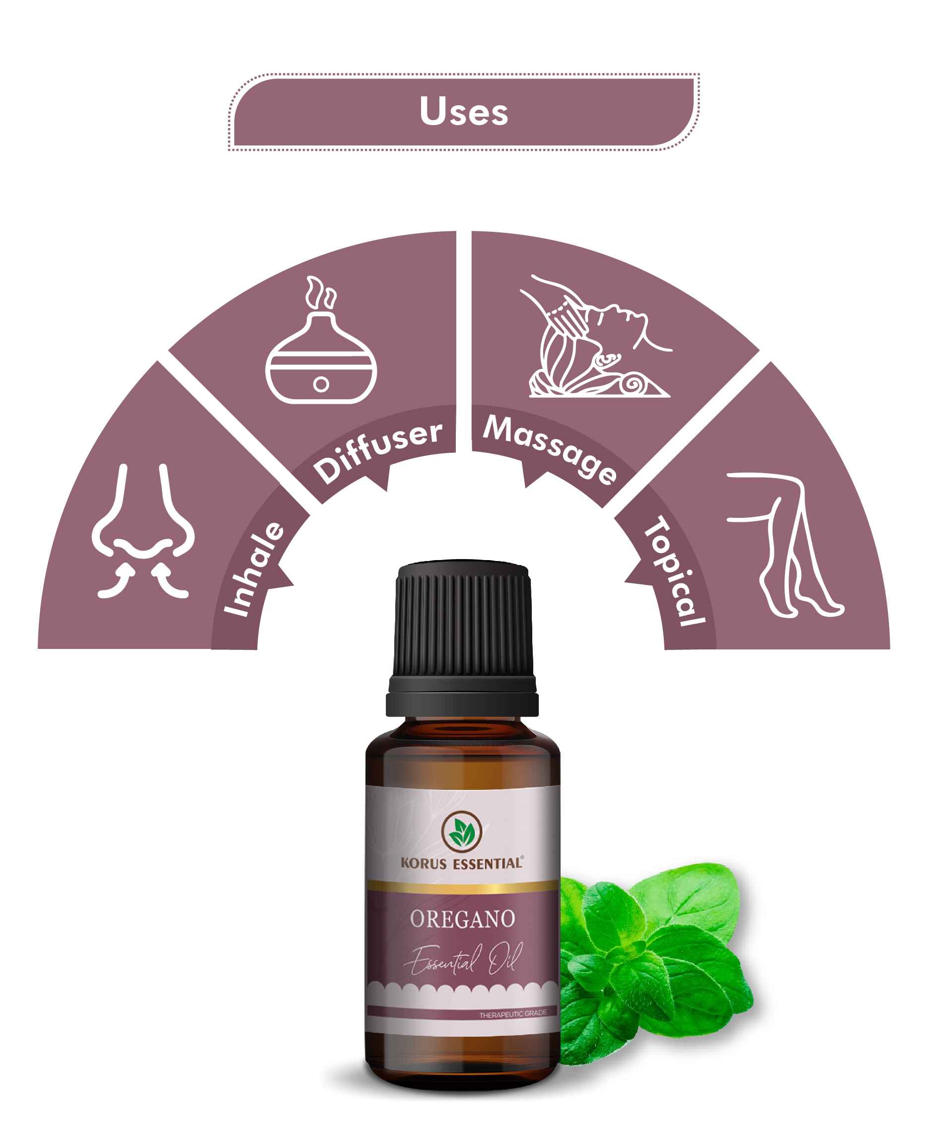 Korus Essential Oregano Essential Oil - 15ml - HNW GLOBAL