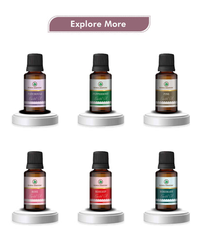 Korus Essential Oregano Essential Oil - 15ml - HNW GLOBAL