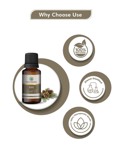 Korus Essential Pine Essential Oil - 15ml - HNW GLOBAL
