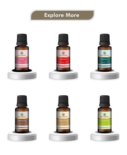 Korus Essential Pine Essential Oil - 15ml - HNW GLOBAL