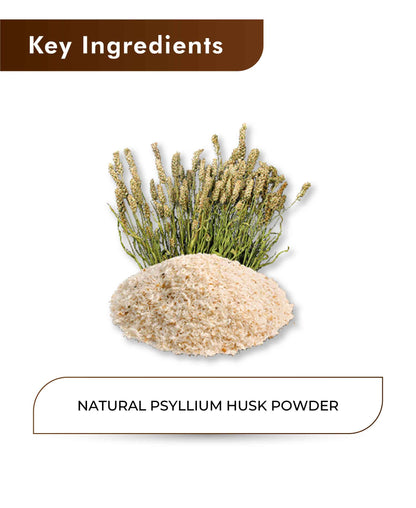 H&C Natural Psyllium Husk Powder – 100gm | Ayurvedic Fiber-Rich Wellness - HNW GLOBAL