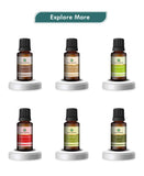 Korus Essential Rosemary Essential Oil - 15ml - HNW GLOBAL