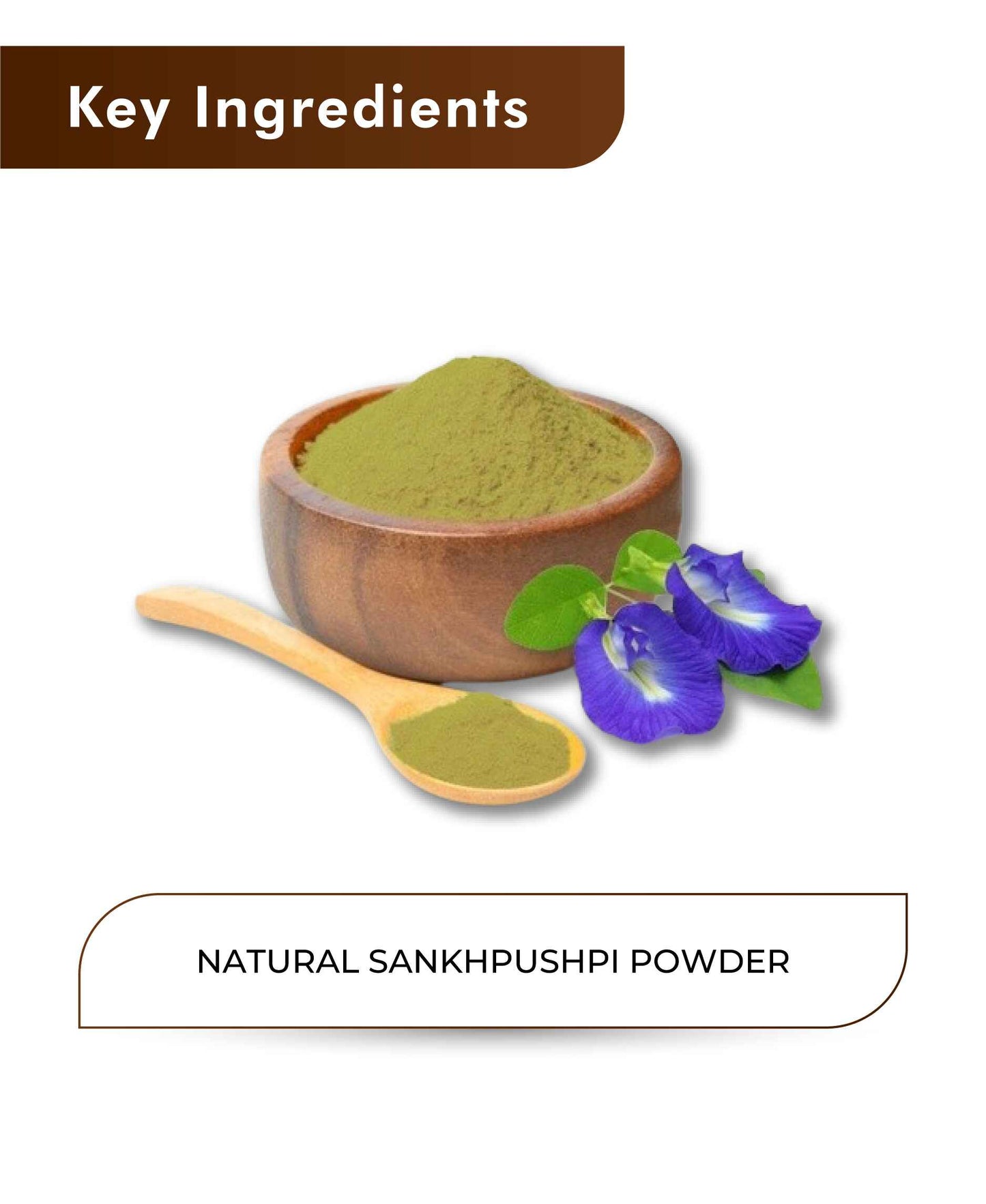 H&C Natural Shankhpushpi Powder - 100gm - HNW GLOBAL