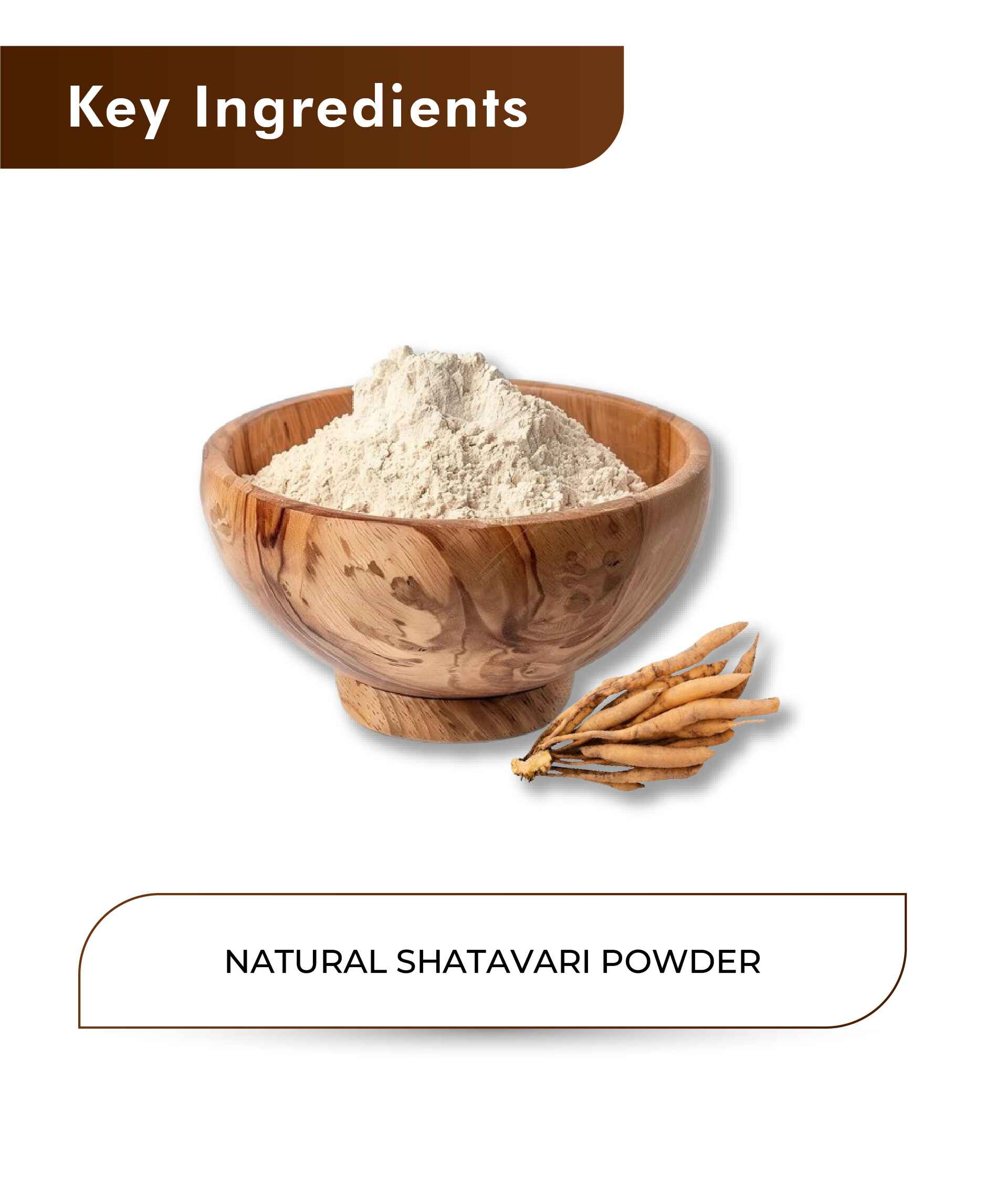 H&C Natural Shatavari Powder - 100gm - HNW GLOBAL