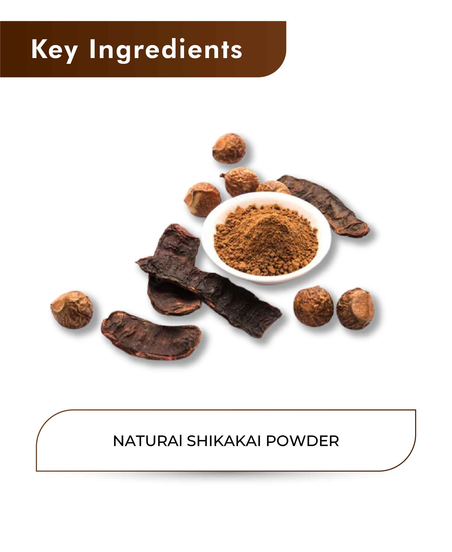 H&C Natural Shikakai Powder - 100gm - HNW GLOBAL