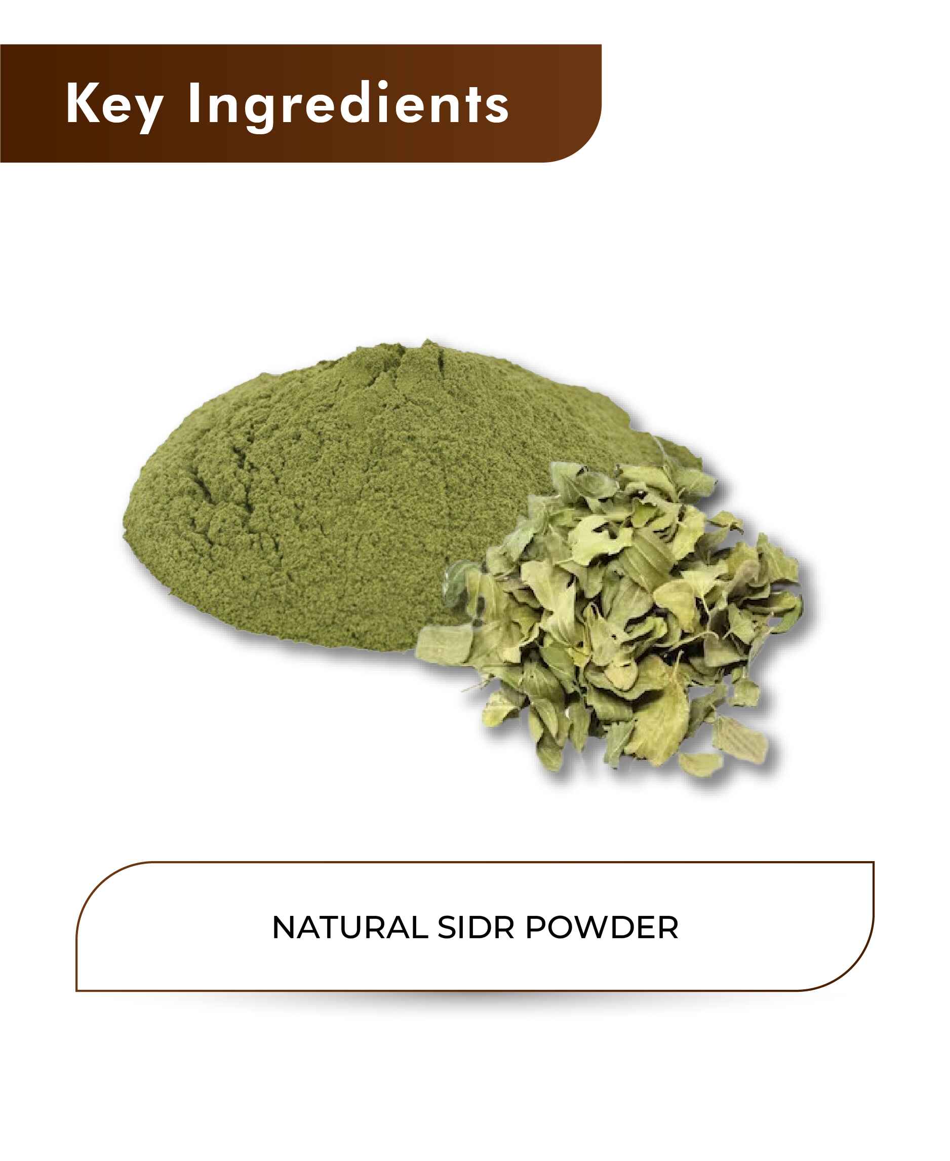 H&C Natural Sidr Powder - 100gm - HNW GLOBAL