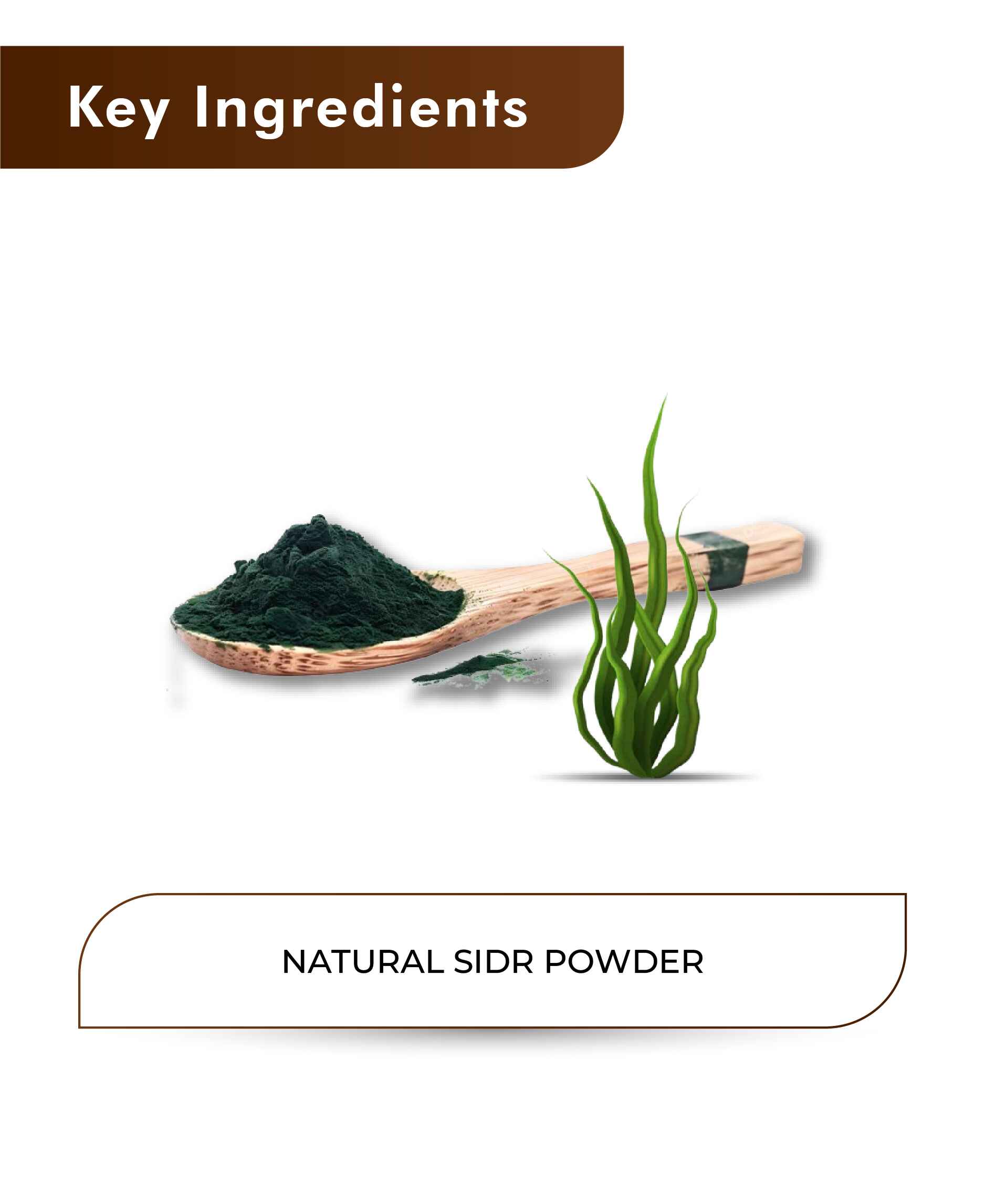 H&C Natural Spirulina Powder - 100gm - HNW GLOBAL