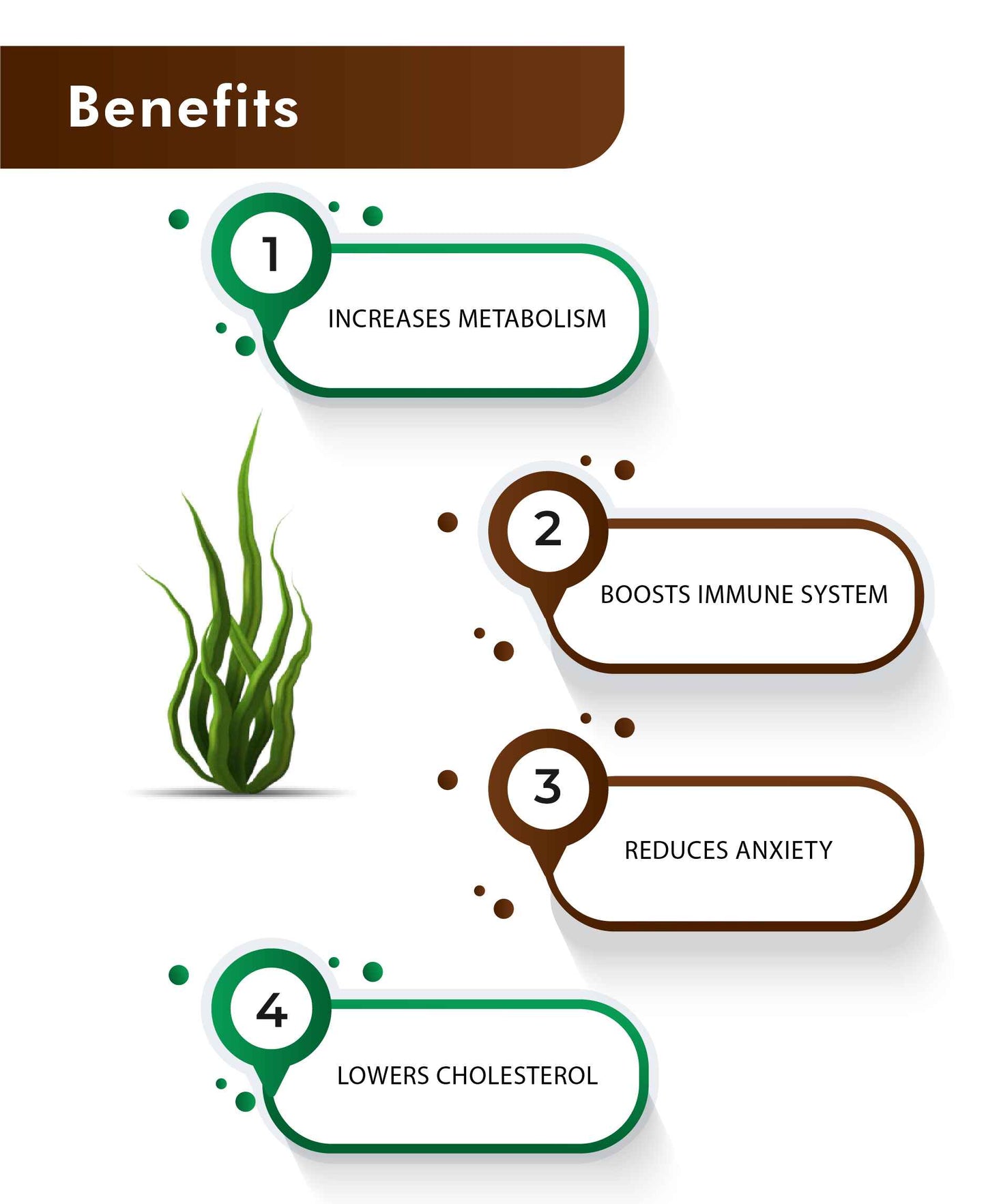 H&C Natural Spirulina Powder - 100gm - HNW GLOBAL