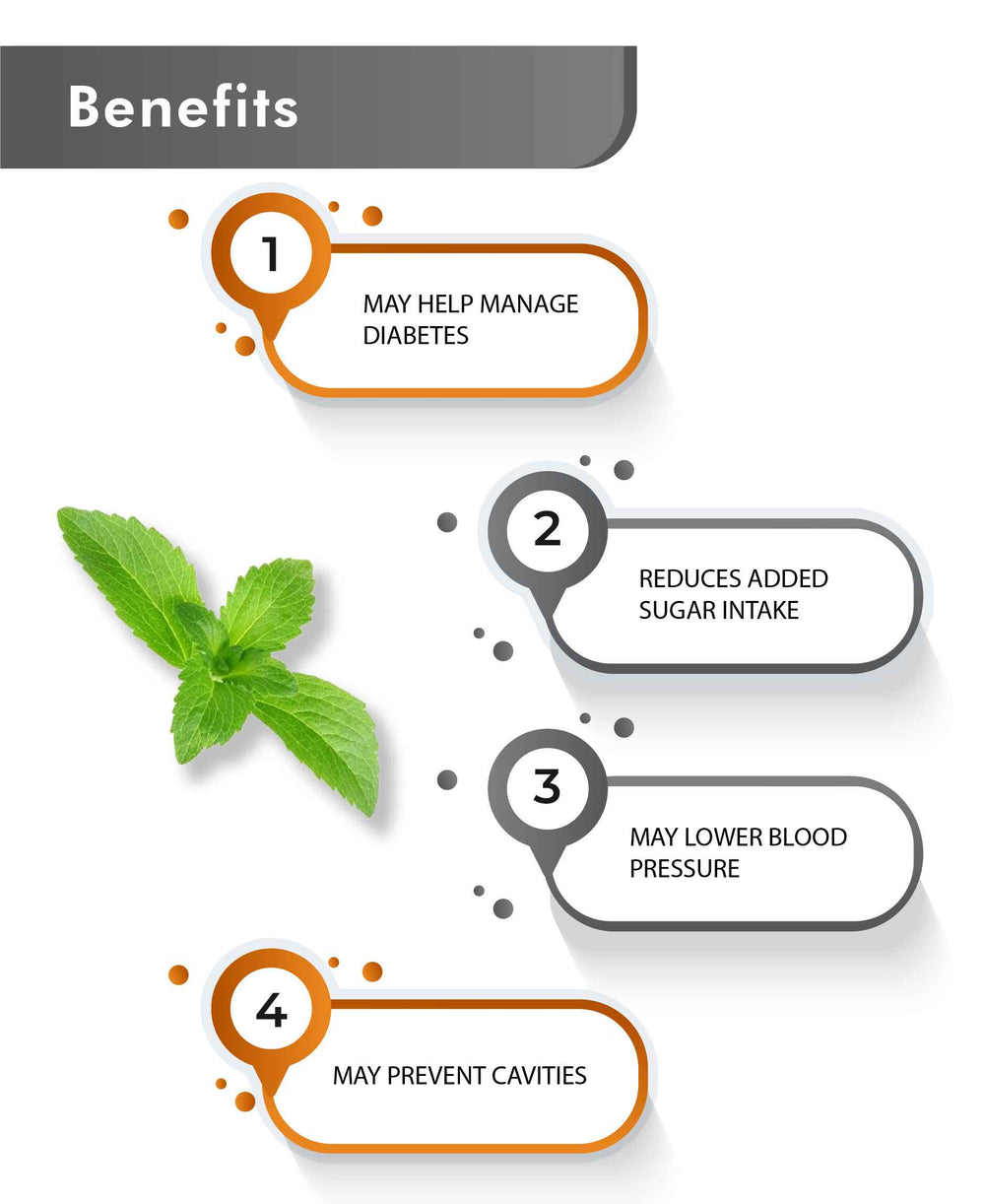 Just Jaivik Organic Stevia Powder - 100gm - HNW GLOBAL