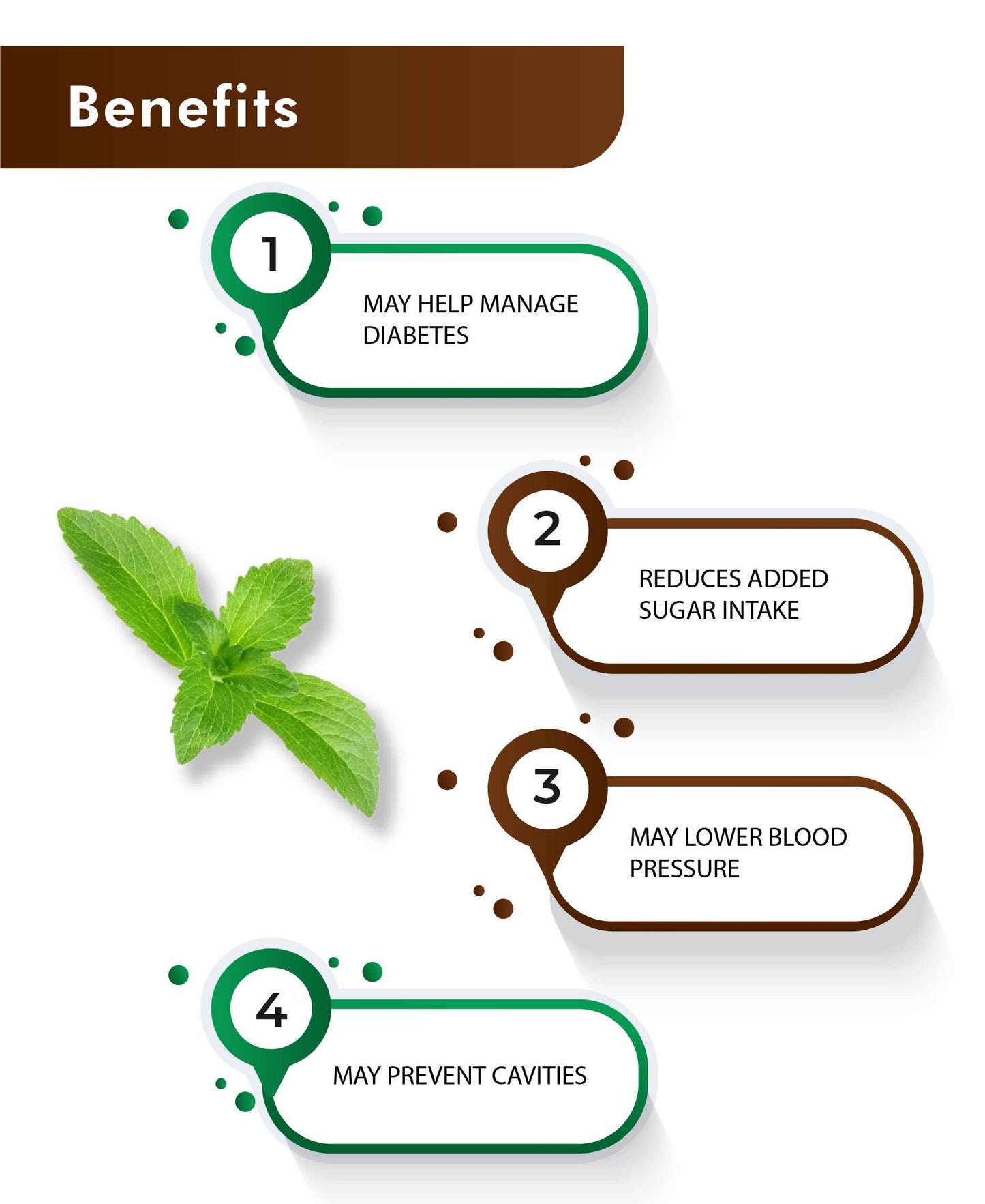 H&C Natural Stevia Leaves Powder / Stevia Rebaudiana - 100gm - HNW GLOBAL
