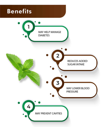 H&C Natural Stevia Leaves Powder / Stevia Rebaudiana - 100gm - HNW GLOBAL