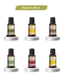 Korus Essential Tea Tree Essential Oil - 15ml - HNW GLOBAL