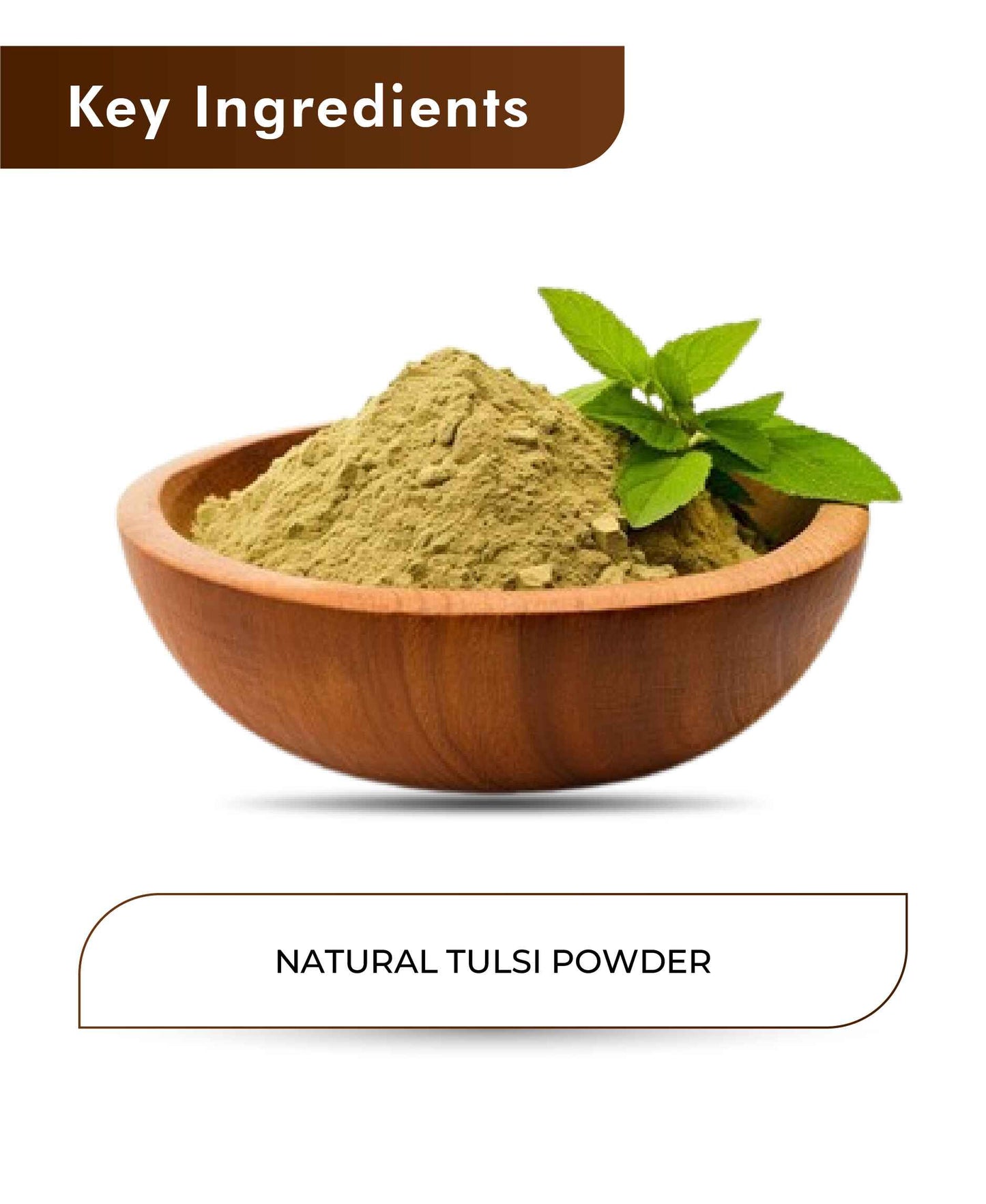 H&C Natural Tulsi Powder - 100gm - HNW GLOBAL