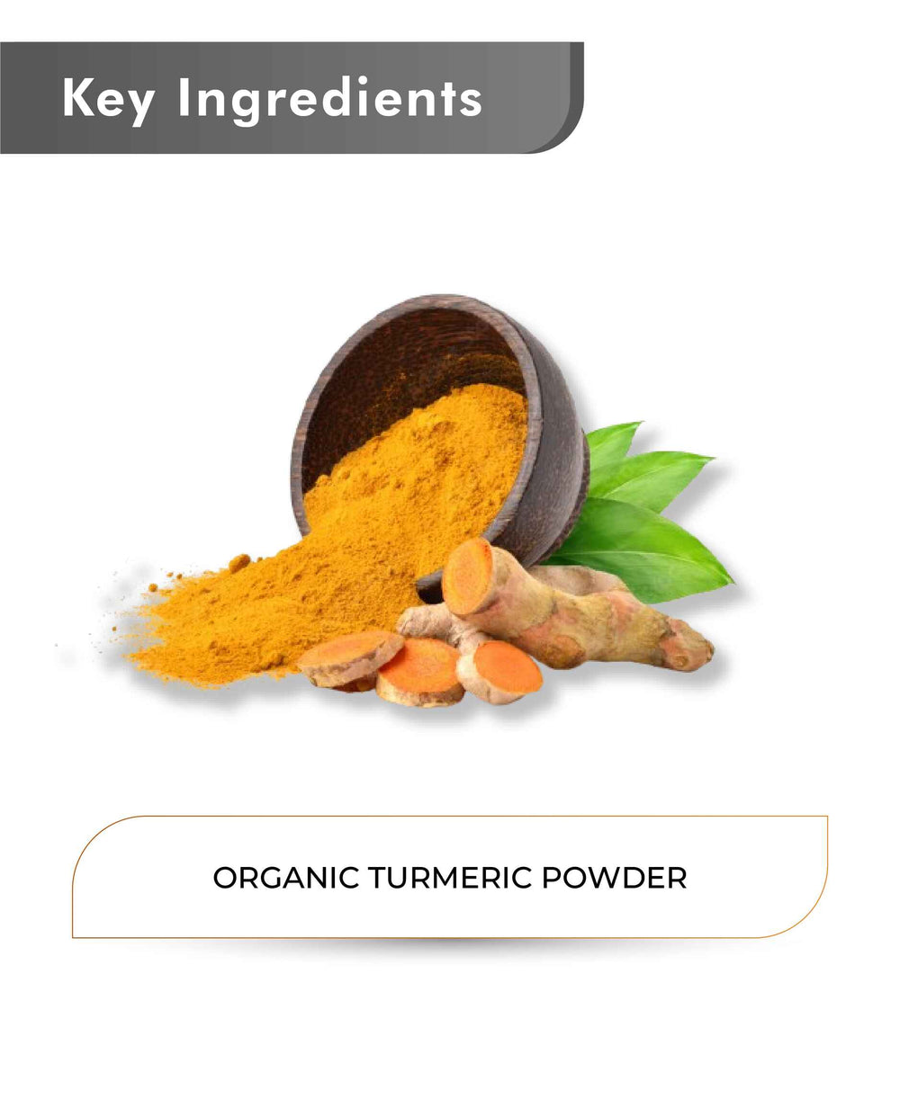 Just Jaivik Organic Turmeric Powder - 100gm - HNW GLOBAL