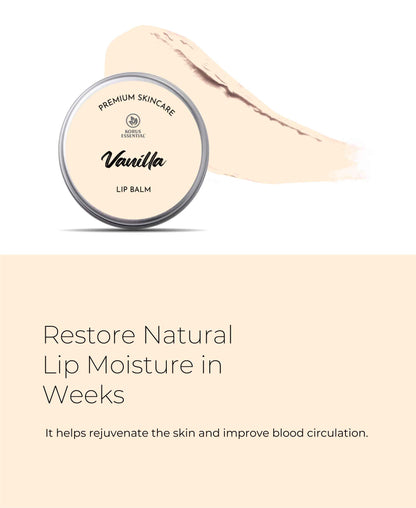 Korus Essential Vanilla Lip Balm with Shea Butter  - 8 Grams - HNW GLOBAL