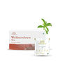 Shivamastu Wellnessbrew Herbal Tea - 20 Pyramid Teabags - By Shivamastu Ayurveda - HNW GLOBAL