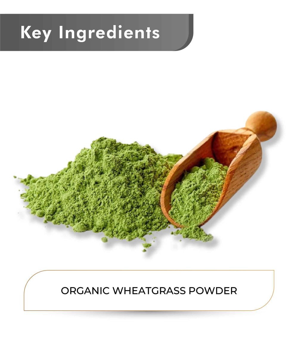 Just Jaivik Organic Wheatgrass Powder - 100gm - HNW GLOBAL