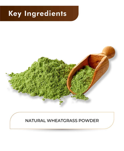 H&C Natural Wheatgrass Powder / Triticum Aestivum - 100gm - HNW GLOBAL
