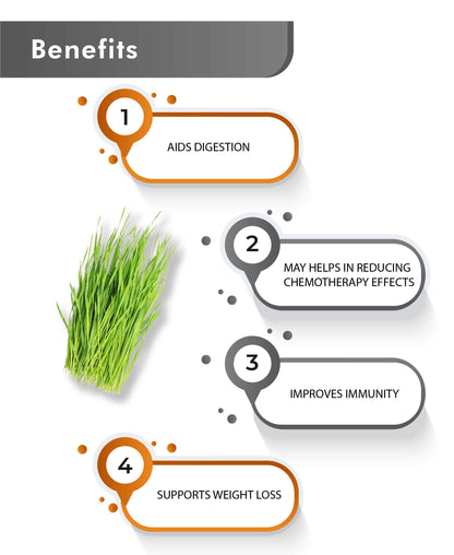 Just Jaivik Organic Wheatgrass Powder - 100gm