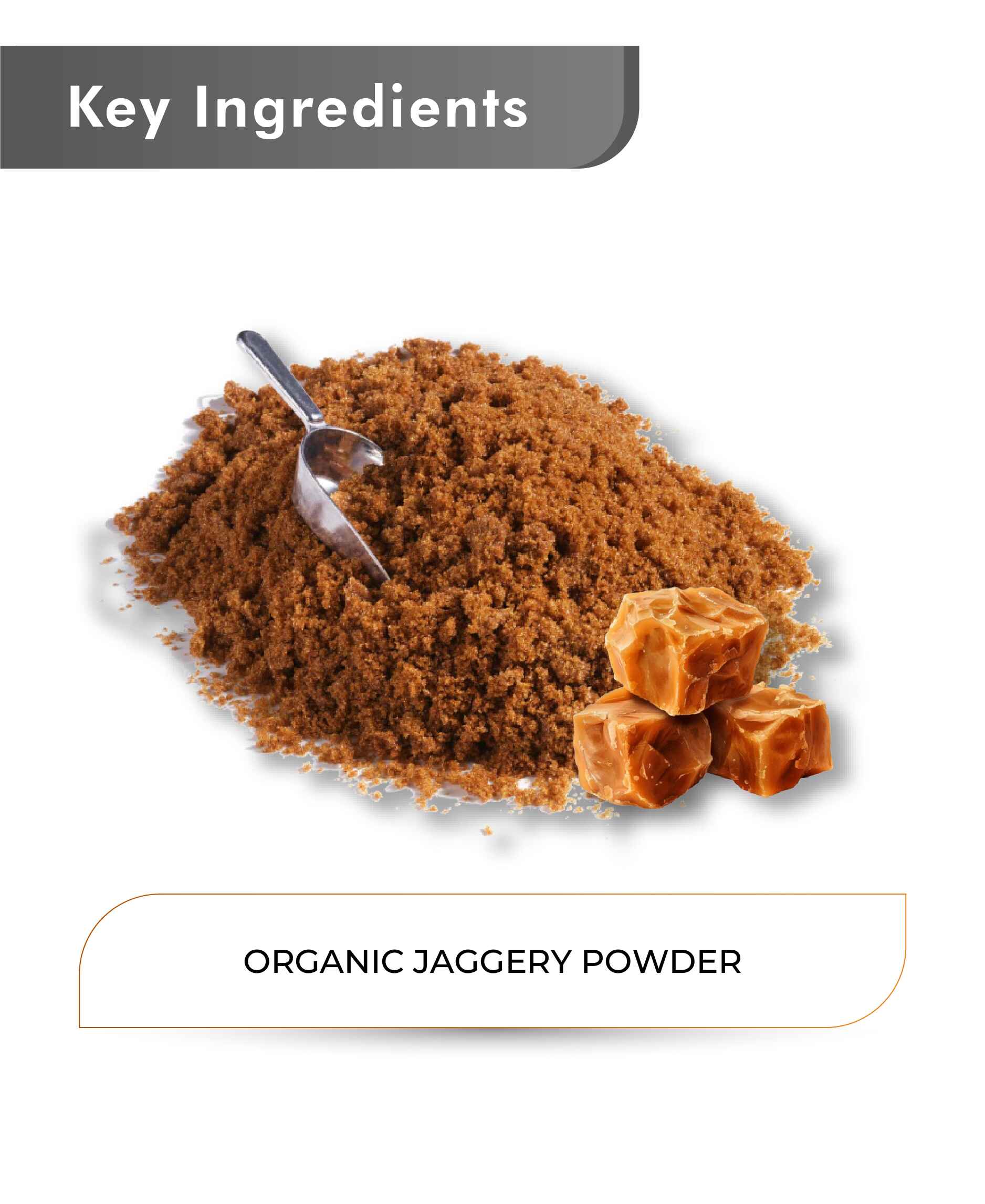 Just Jaivik Organic Jaggery powder - HNW GLOBAL