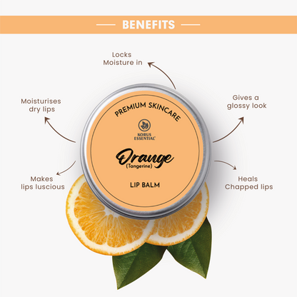 Orange Lip Balm with Shea Butter  - 8 Grams